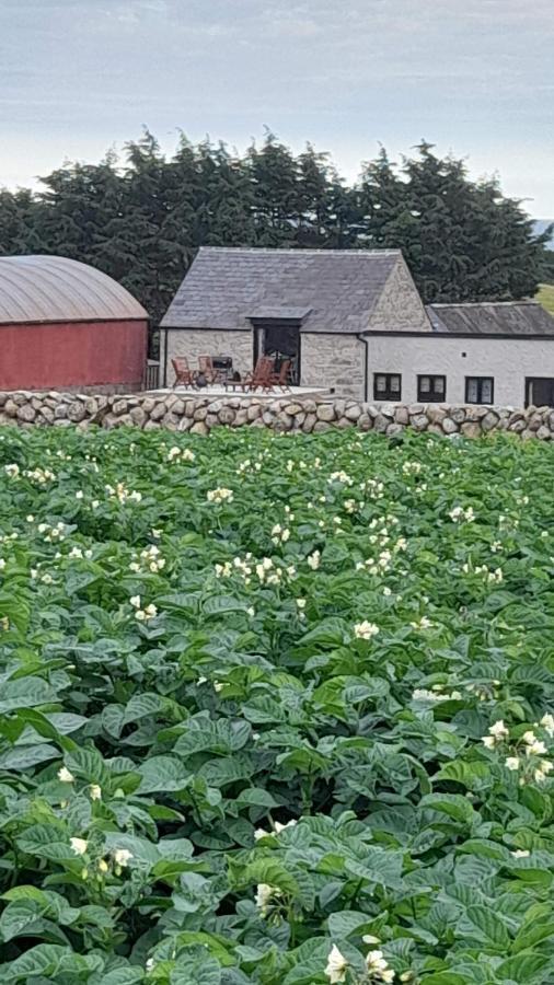 Ballykeel Farm, Mourne Mountains Ballymartin Exterior photo
